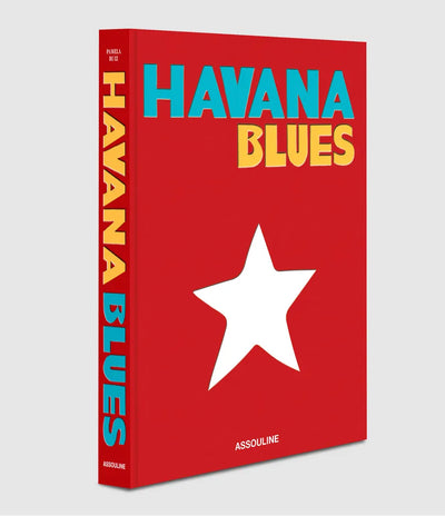 LIVRE ASSOULINE VOYAGES